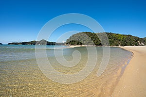Torrent Bay in the Abel Tasman National Park, on a sunny day in New Zealand