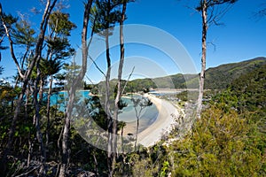 Torrent Bay in the Abel Tasman National Park, on a sunny day in New Zealand