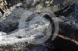 Torrent. Fast flowing brook. Clean, pure water from a waterfall