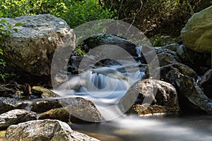 Torrent in a forest in Corsica