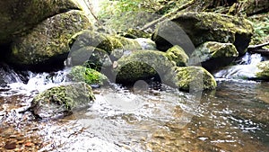 Torrent of gorge Buchberger Leite Nature Reserve in Ringelai in the Bavarian Forest, Germany