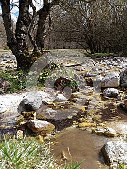 Torrent of Val Fondillo, a beautiful valley in Abruzzo