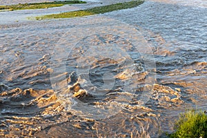 Torrential rains swelled rivers and streams in river swat