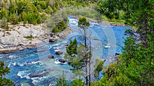 Torrential river in a forest in San Martin de los Andes, Neuquen, Argentina