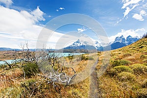 Torres del paine