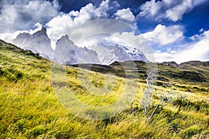 Torres del Paine, Patagonia, Chile photo