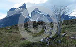 Torres del Paine National Park 13