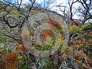 torres del paine national park in chilean patagonia