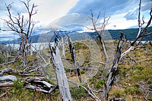 torres del paine national park in chilean patagonia