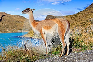 Torres Del Paine National Park.