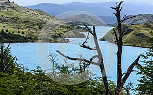 Torres del Paine national park,Patagonia,Chile.