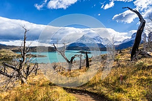 In the Torres del Paine national park, Patagonia, Chile, Lago del Pehoe