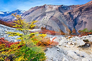 Torres del Paine, Patagonia, Chile