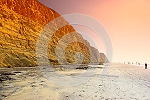 Torrey Pines Beach photo