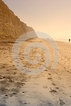 Torrey Pines Beach