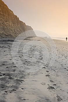 Torrey Pines Beach (San Diego)