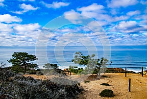 Torrey Pines and the Pacific Ocean