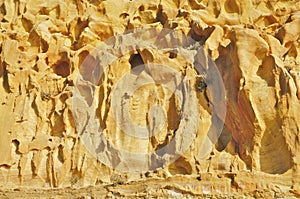 Torrey Pines State Natural Reserve and Beach