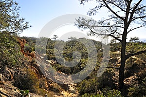 Torrey Pines State Natural Reserve and Beach