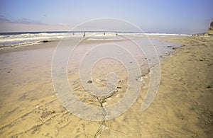 Torrey Pines State Park Beach, California photo