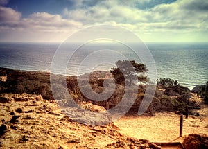 Torrey Pines State Park USA