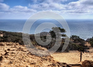 Torrey Pines State Park USA