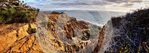 Torrey Pines State Park USA