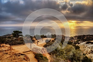 Torrey Pines State Park USA