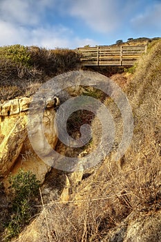 Torrey Pines State Park USA