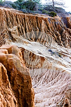 Torrey Pines State Reserve landscape