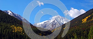 Torreys Peak photo