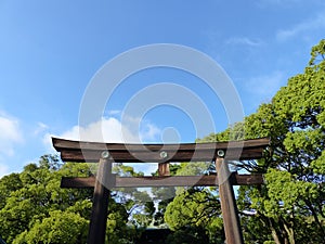 Torri gate to Meiji Jingu, Tokyo
