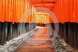 Torri gates at the entrance of Fushimi Inari Taisha Shrine