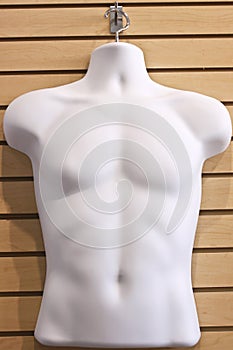 Torso Display photo