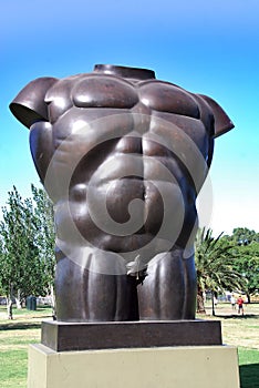 Torso Masculino Desnudo