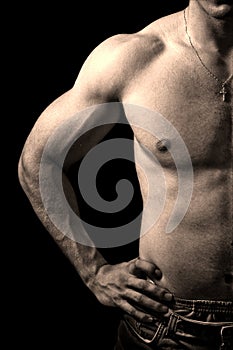 Torso of muscular man isolated on black