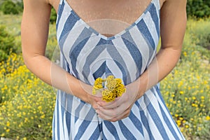 Torso of young woman wearing striped summer dress in super bloom of wildflowers, holding bouquet of yellow flowers in