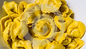 Tortellini Bolognese prepared for cooking