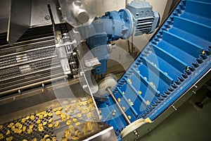 Tortellini Pasta production line