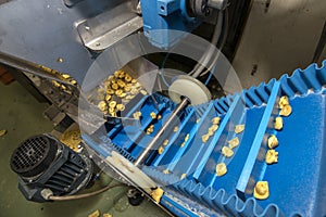 Tortellini Pasta production line