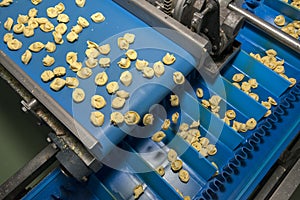 Tortellini Pasta production line