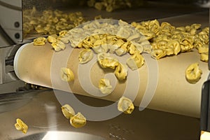 Tortellini Pasta production line