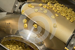Tortellini Pasta production line