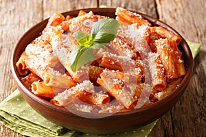 Tortiglioni pasta with parmesan cheese in tomato sauce close-up in a plate. horizontal