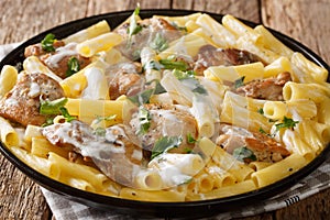 Tortiglioni with pieces of chicken in a creamy cheese sauce with herbs close-up in a plate. horizontal