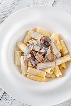 Tortiglioni with porcini mushrooms