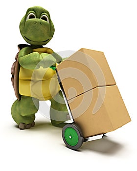 Tortoise with boxes for shipping