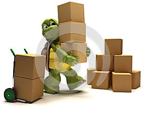 Tortoise with boxes for shipping