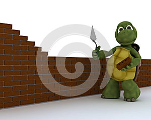 Tortoise building contractor