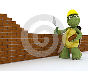 Tortoise building contractor